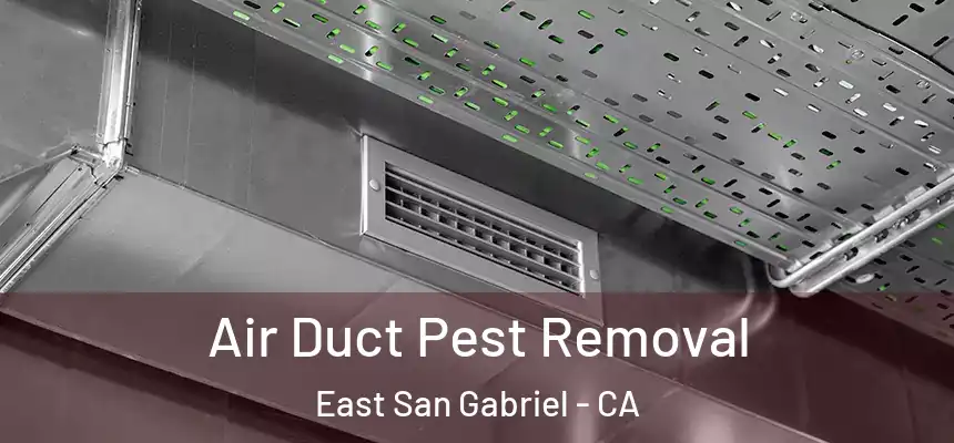  Air Duct Pest Removal East San Gabriel - CA