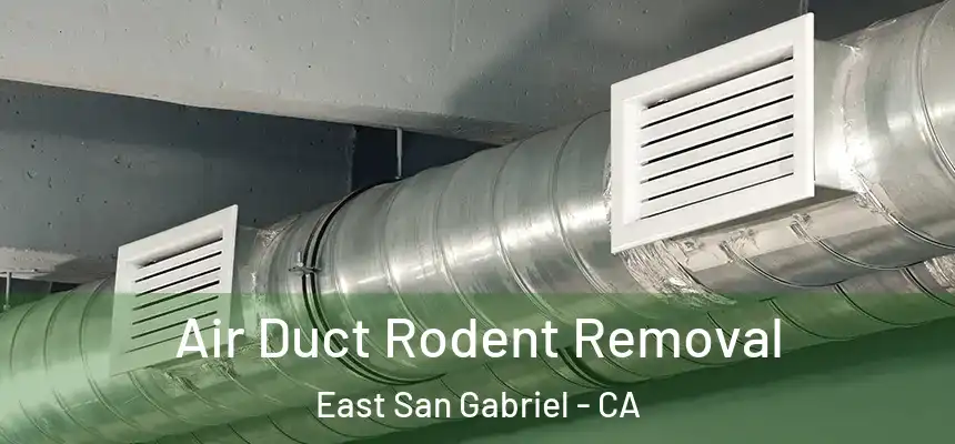  Air Duct Rodent Removal East San Gabriel - CA
