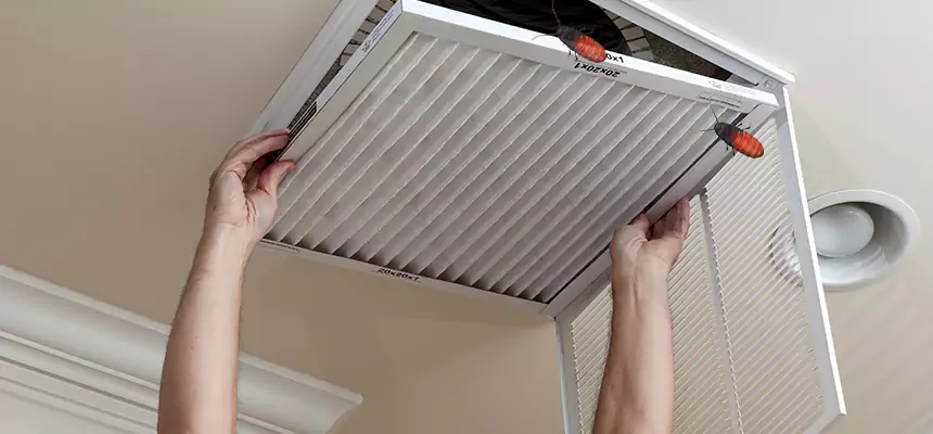 Preventive Cockroach-Proofing for Ducts in East San Gabriel