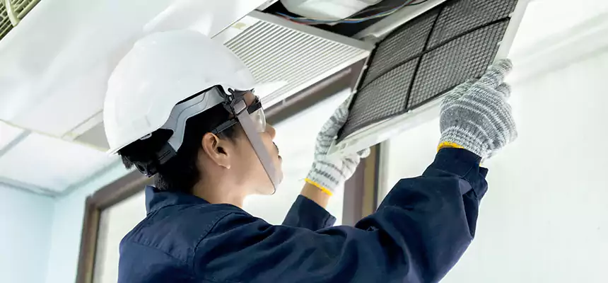 Our Mold & Mildew Removal from Air Ducts Services in East San Gabriel, CA