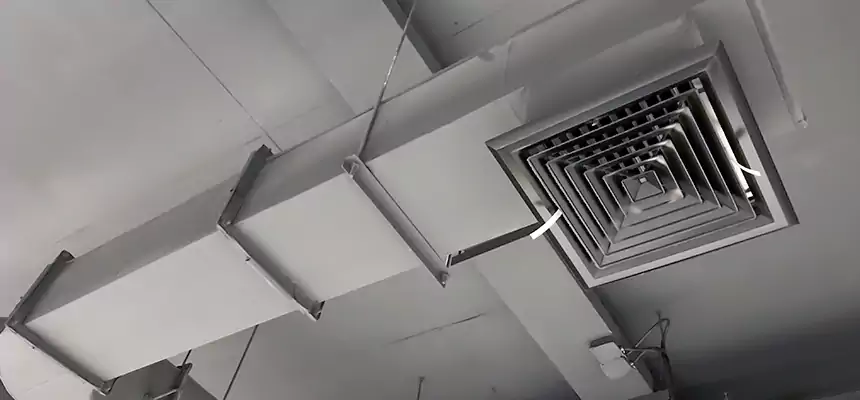 Our Pest Removal From Ducts Services in East San Gabriel, CA