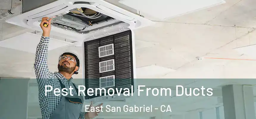  Pest Removal From Ducts East San Gabriel - CA