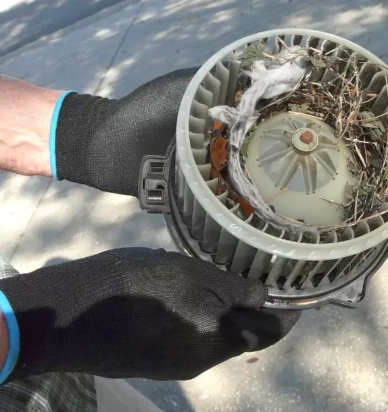 About Air Duct Mice Removal in East San Gabriel, CA