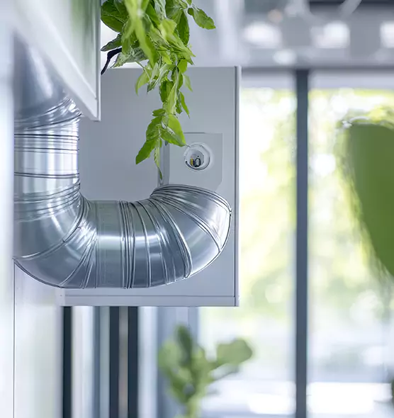 Professional Eco-Safe Dryer Vent Cleaning in East San Gabriel, CA