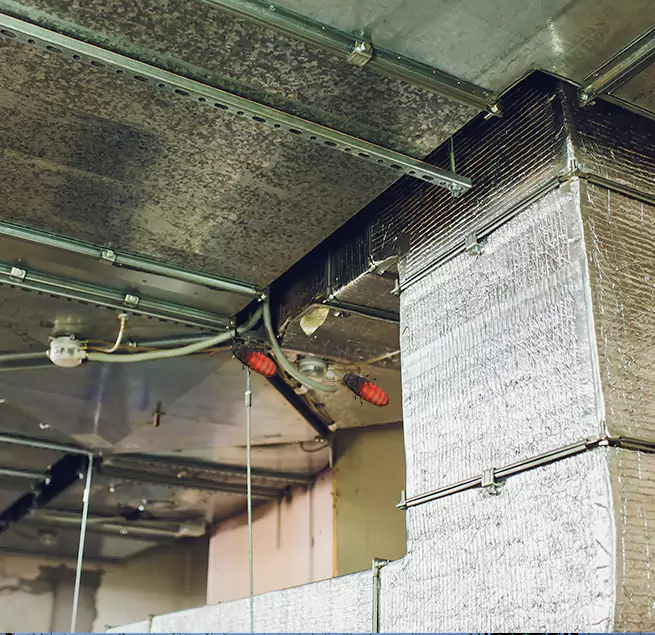 Why Homeowners & Businesses Trust Us in East San Gabriel, CA?